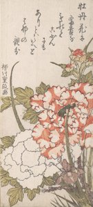 牡丹和鸢尾花，18-19世纪。 作者 柳川重政