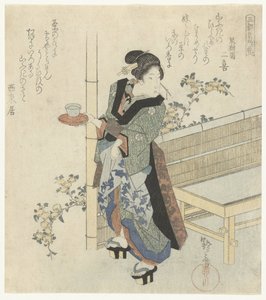 山吹花的女服务员
三都名花（系列标题）
三都梅（实物上的系列名称）