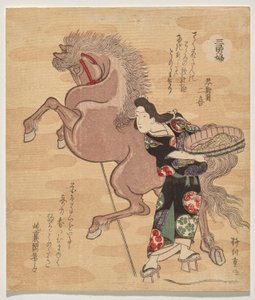 女强人冈根