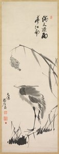 白鹭和芦苇 作者 杨基勋