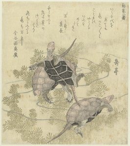 水生植物中的三只乌龟
两幅鹤与龟的系列版画（系列名称）
鹤龟（实物上的系列名称） 作者 金国园真弘