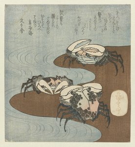 岸边的螃蟹 作者 矢岛学亭
