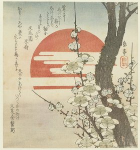 旭日东升前的梅花 作者 文轩米持