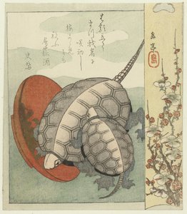 乌龟与清酒碗 作者 四京