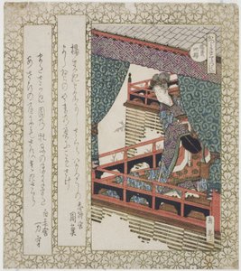 杨贵妃樱（横滨樱），选自 "葛饰圈樱花 "系列