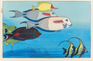 水族馆，檀香山 作者 吉田宏
