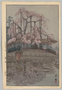 樱花八景：樱花八景：春雨 作者 吉田宏
