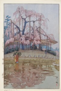 春雨 作者 吉田宏