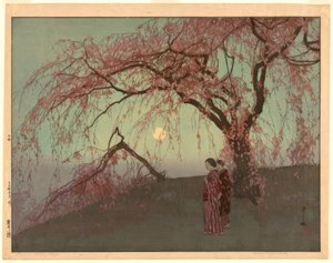 熊井樱花树（Kumoi sakura）。 作者 吉田宏
