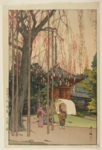 川越的樱桃树 作者 吉田宏