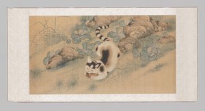 画有罂粟花、蝴蝶和一只猫的挂轴（上半部分） 作者 云冰