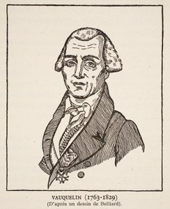 Vauquelin 作者 Z.贝拉里