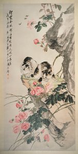 玫瑰与岩石上的猫 作者 张成