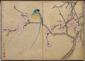 办公桌专辑：花鸟画梅花鸟，18世纪。