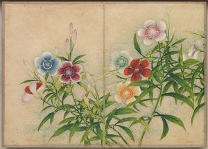 办公桌专辑：《花鸟画粉红色》，十八世纪。