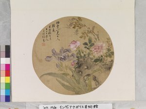 花与岩石 作者 张雄