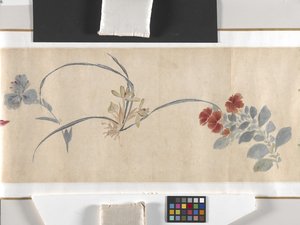 彩色花朵