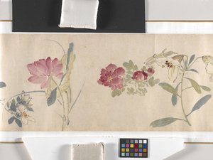彩色花朵