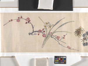 彩色花朵