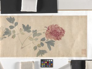 彩色花朵