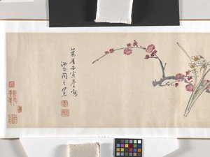 彩色花朵