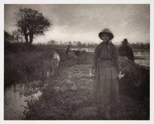 耕作，收割 "沼泽干草"（transport du foin des marais）。 作者 理查德（后）爸爸