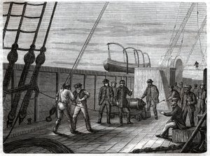 海底电报电缆。海底电报电缆。 作者 Frederick (attr. to) Barnard