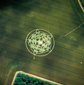 麦田里的麦田怪圈，威尔特郡，Avebury Henge，2002年6月22日（航空照片 作者 费迪南德·乔治·沃尔德米勒