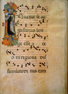 带有圣奥古斯丁形象的彩色首字母（Corale 19，约149），由Silvestro dei Gherarducci为Santa Maria degli Angeli的19号唱诗班创作，保存在佛罗伦萨医学图书馆。 作者 加拿大学校