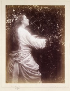 玛丽-希利尔，约1865年 作者 理查德（后）爸爸