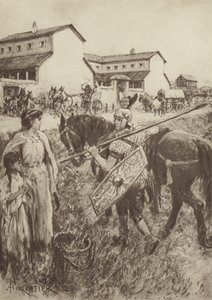 在后屋 作者 在阿米迪·福里斯特