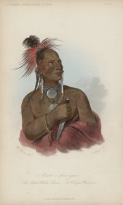 Meach-o shin-gaw，The Little White Bear，A Konza Warrior（aquatint）