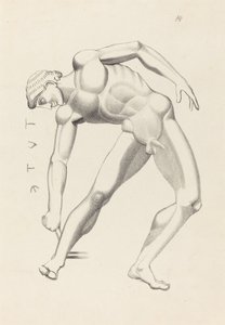 Tydaeus 作者 在约翰·弗拉克斯曼之后