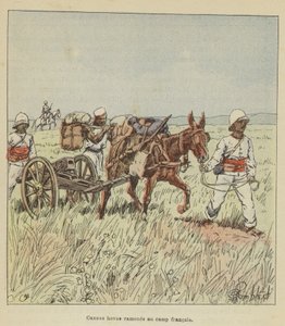 Cannons hovas带回了法国营地 作者 在路易斯·查尔斯·轰炸之后