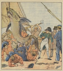 带鲨鱼 作者 在路易斯·查尔斯·轰炸之后