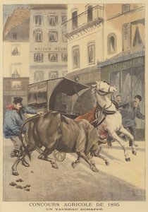 农业展1895年。一头逃脱的公牛 作者 在Oswaldo Tofani之后