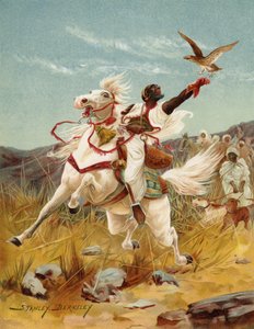 霍金在摩洛哥（chromolitho）