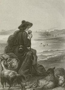 牧羊人和海