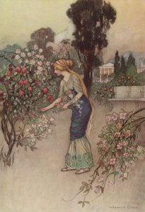 Geoffrey Chaucer，骑士故事 作者 在沃里克·戈布尔之后