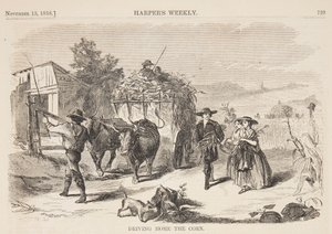 把玉米运回家 作者 Harper and Bros.，纽约，纽约，美国