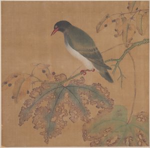 树枝上的鸟 作者 匿名的