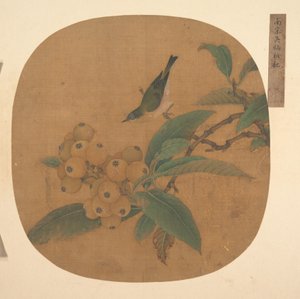枇杷树上的小鸟 作者 匿名的