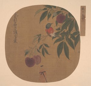 荔枝树枝上的鸟 作者 匿名的