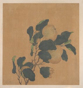 结满果实的树枝 作者 匿名的
