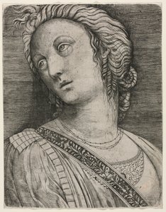 女性半身像 作者 归功于 Jacopo de' Barbari
