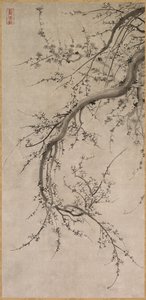 梅 作者 归功于加野英诺