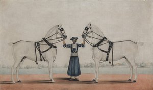 牵着两匹马车的西斯马夫，约1845年。 作者 归功于 Karraya 的 Shaikh Muhammad Amir。