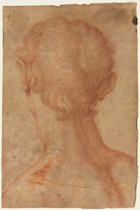 从背面看男子的头部 作者 在 Agnolo Bronzino 之后复制