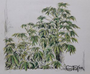 雨花厂