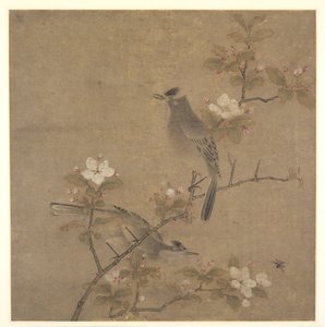 花与鸟 作者 钱轩风采